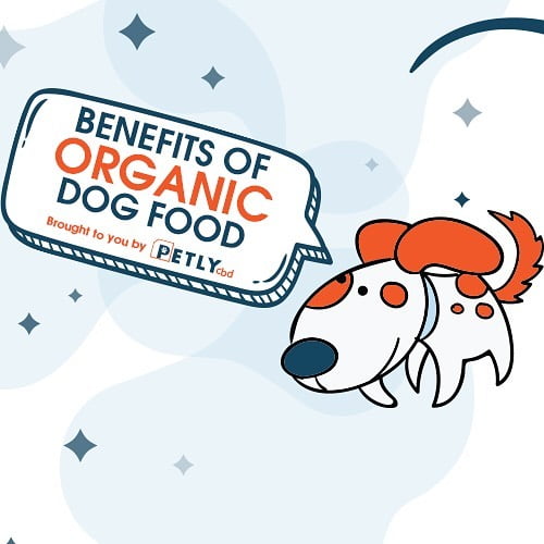 Benefits of Organic Dog Food