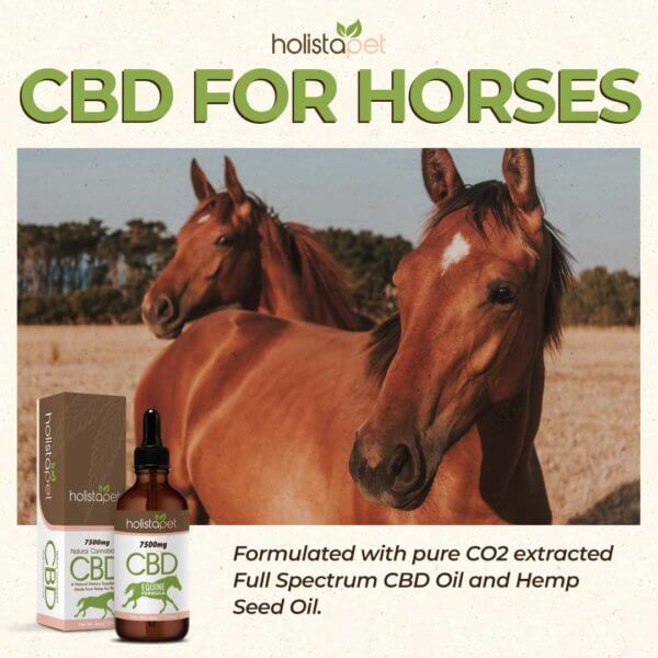 Holistapet CBD Oil for Horses uses