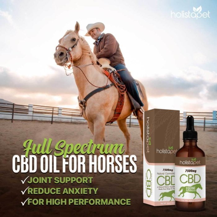 Holistapet CBD Oil for Horses 