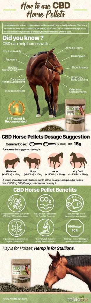 How to use Holistapet CBD Pellets for horses?